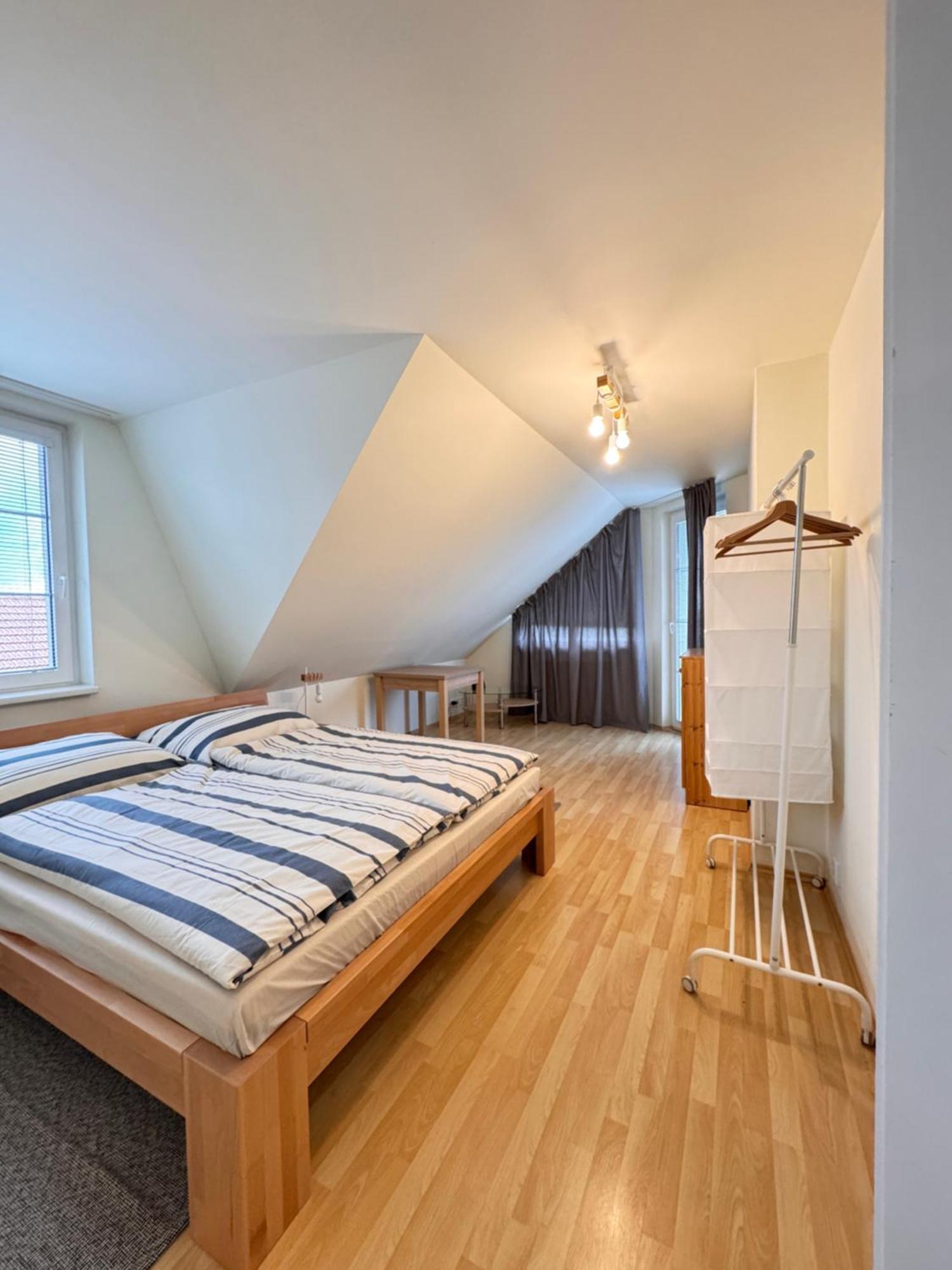 Diamondvilla, 4 Bedroom Apartment, Garden & Spa 布拉格 外观 照片