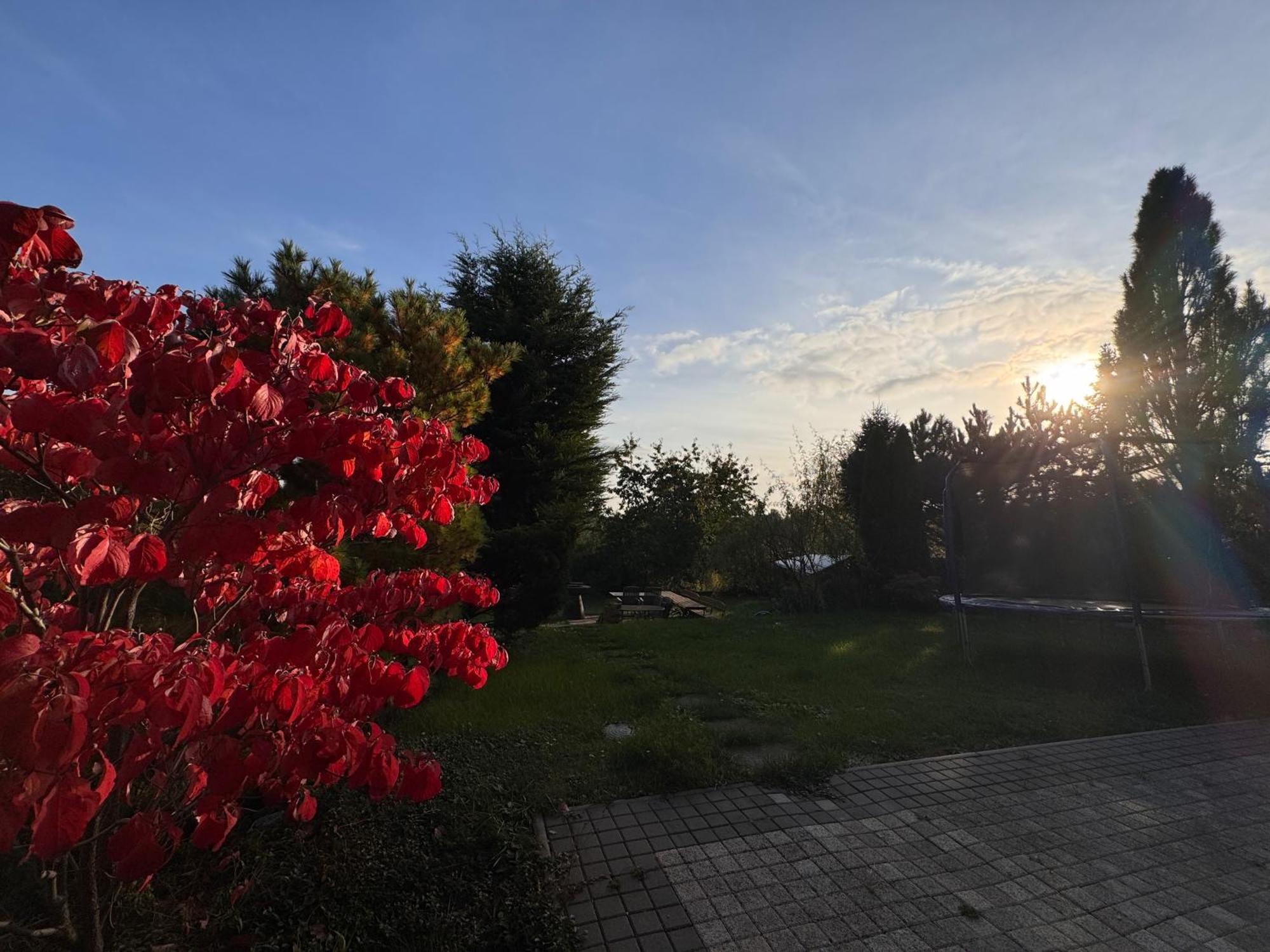 Diamondvilla, 4 Bedroom Apartment, Garden & Spa 布拉格 外观 照片